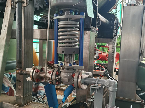 Natural gas desulfurization filter