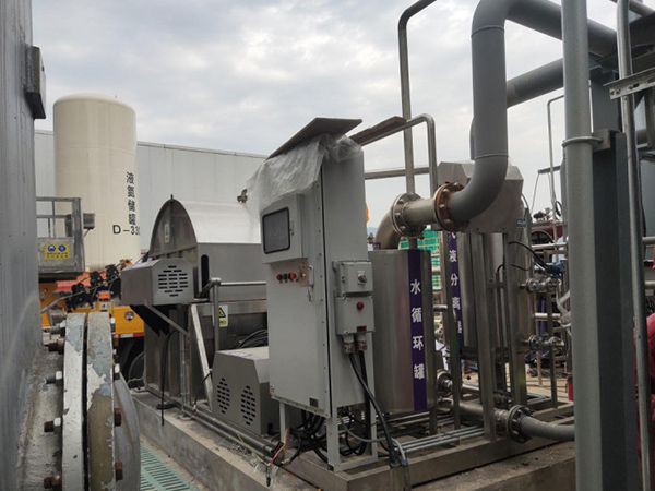 Natural gas desulfurization filter